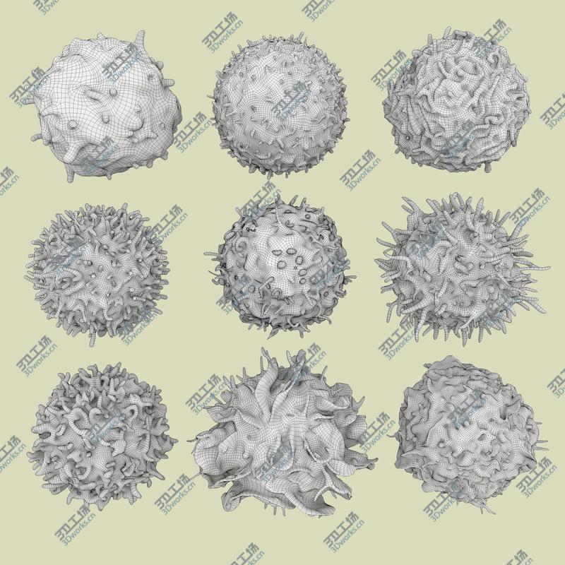 images/goods_img/20210114/3D Hummingbird Fur Animated Rigged model/2.jpg